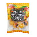 金城製菓 ひとくちマンゴープリン 16g×7個入り ミニゼリー 卸価格 マンゴー プリン(4)