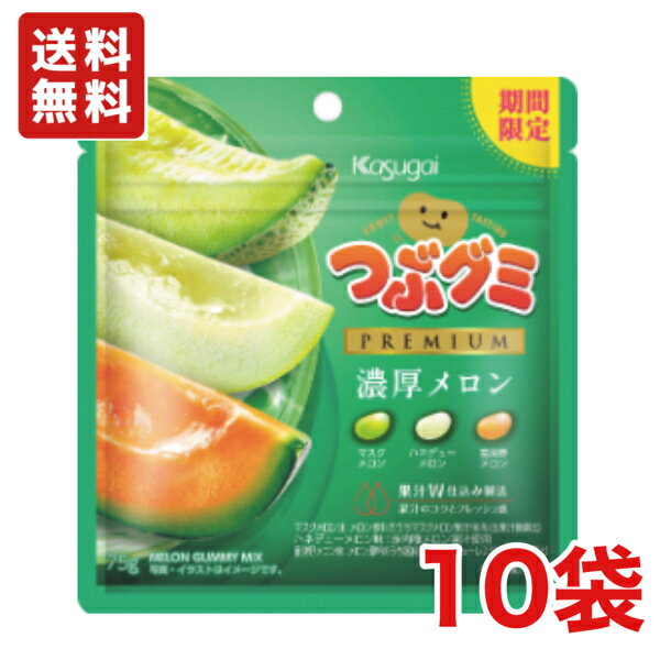 【送料無料】つぶグミ PREMIUM プレミアム 濃厚メロン×10袋 春日井製菓【メール便】のサムネイル