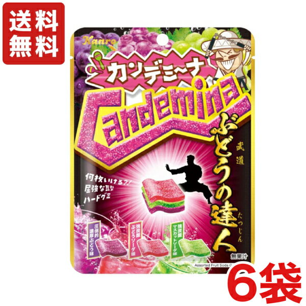 【送料無料】 カンロ カンデミーナ ぶどうの達人 ×6袋入り グミ ぶどう味【メール便】のサムネイル
