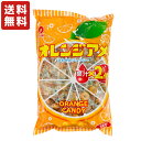 【送料無料】1kg オレンジアメ パイン製菓【業務用 飴】