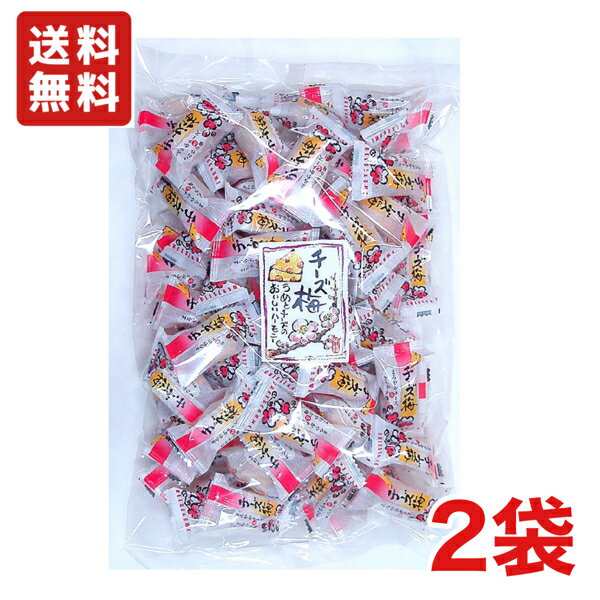 送料無料 井崎商店 チーズ梅 おかき 200g×2袋