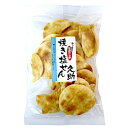 根本製菓 割れせん 焼き塩せんべい 95g×120袋