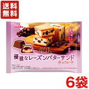 送料無料 名糖産業 ひとくちパティスリー 優雅なレーズンバターサンドチョコレート 113g×6袋 クール便発送(別途330円)
