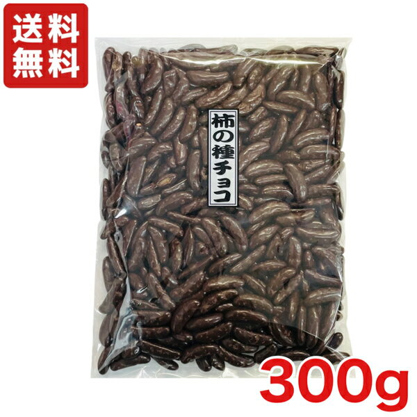 【送料無料】柿の種チョコ 300g　寺沢製菓　徳用サイズ かきのたね チョコ 特価 【メール便】のサムネイル