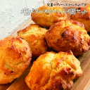 塩バタースコーン6個セット 焼き菓子 焼き菓子詰め合わせ ギフト スコーン 韓国風スコーン ギフトセット 焼き菓子ギフト お取り寄せ おみやげ お祝い かわいい...