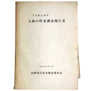 【中古】石見銀山御科 大森の町並調査報告書(3)