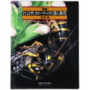 【中古】図説　社会性カリバチの生態と進化