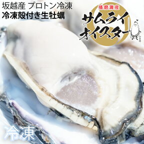 ★大粒新鮮冷凍サムライオイスタ—★坂越かき　冷凍殻付牡蠣(加熱用)[送料無料]★驚きのぷりぷりで美味しい牡蠣♪熱を加えても縮まない魔法の牡蠣。