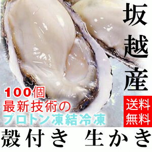 ★大粒新鮮冷凍サムライオイスタ—★坂越かき　冷凍殻付牡蠣お得な100個セット♪(加熱用)[送料無料]★驚きのぷりぷりで美味しい牡蠣♪熱を加えても縮まない魔法の牡蠣。
