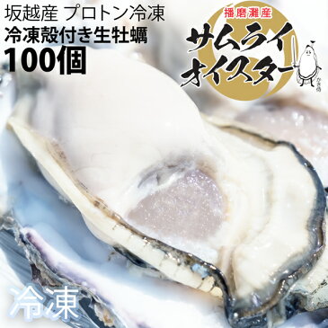 ★大粒新鮮冷凍サムライオイスタ—★坂越かき　冷凍殻付牡蠣お得な100個セット♪(加熱用)[送料無料]★驚きのぷりぷりで美味しい牡蠣♪熱を加えても縮まない魔法の牡蠣。