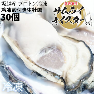 ★大粒新鮮冷凍サムライオイスタ—★坂越かき　冷凍殻付牡蠣30個（加熱用）[送料無料]驚きのぷりぷりで美味しい牡蠣♪熱を加えても縮まない魔法の牡蠣。