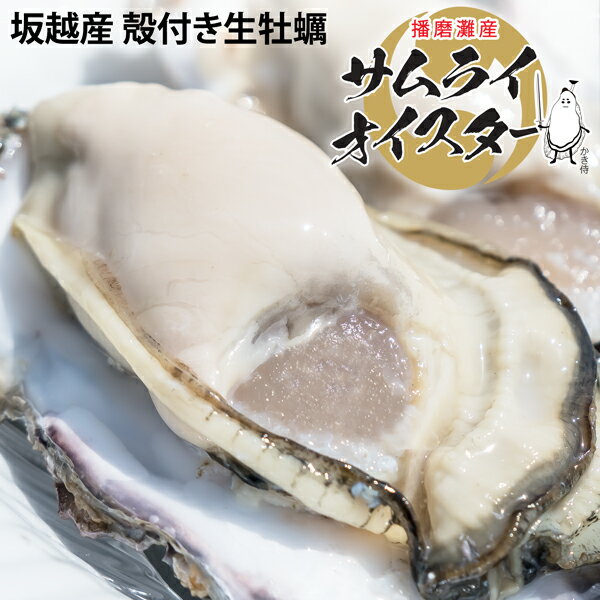 北海道産 殻付き牡蠣と青つぶ 合計3kgセット サロマ湖産 殻付かき 1.5kg 枝幸町産 青ツブ 1.5kg お取り寄せ グルメ 殻付き 牡蠣 牡蛎 殻付 カキ つぶ貝 ツブ貝 海鮮 おつまみ バーベキュー 加熱用 父の日 ギフト お中元 冷凍 ヤマヘウミヘ【送料無料】