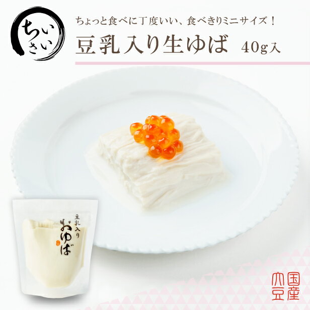 ゆば 湯葉【国産大豆100％・保存料無添加】食べきりサイズ♪小さい豆乳入りおゆば（生ゆば）40g お取り寄せ グルメ 手土産 ギフト ゆば..