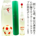 2001満寿泉 純米大吟醸720ml 日韓ワールドカップ記念ボトル