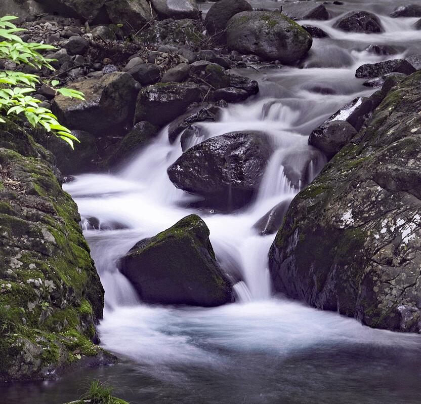 水芭蕉 純米吟醸 720mlの紹介画像2