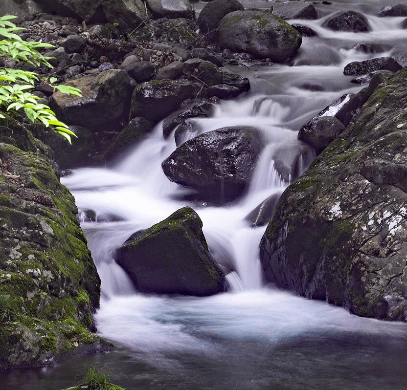 水芭蕉 純米吟醸 180mlの紹介画像2