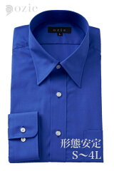 https://thumbnail.image.rakuten.co.jp/@0_mall/ozie/cabinet/shirts-2000-7000/5955-01-h-r-600.jpg