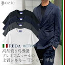 Tシャツ メンズ 半袖 丸首 クルーネック メリノウール100% カットソー REDA ACTIVE リブ高め 快適 着心地 高機能素材 おしゃれ ビジネスカジ...