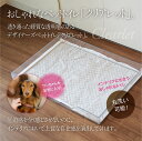 セット品 クリアレットプレミアム 犬用トイレトレー&シーツ押さえ&飛散ガード3点セット Clearlet Premium 犬用トイレ【セット品 クリアレットプレミアム】　セット内容4通り　選べるセット品　シーツ押さえ（コの字型・メッシュ）飛散ガード（クリア無地・レース柄） 2