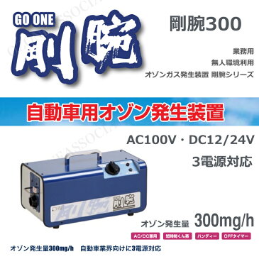 【オゾン脱臭機】 剛腕300　GWN-300CT 自動車向けオゾン発生装置【剛腕300】