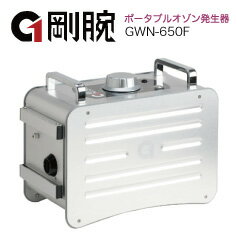 【オゾン脱臭機】 剛腕300　GWN-300CT 自動車向けオゾン発生装置【剛腕300】