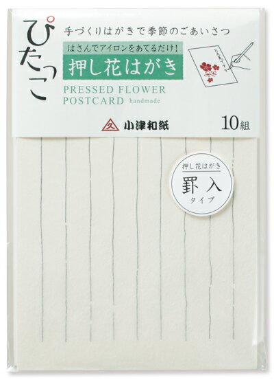 ぴたっこ　はがき　罫入　10枚入
