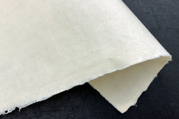 土佐　清光箋　大判（二六耳つき）