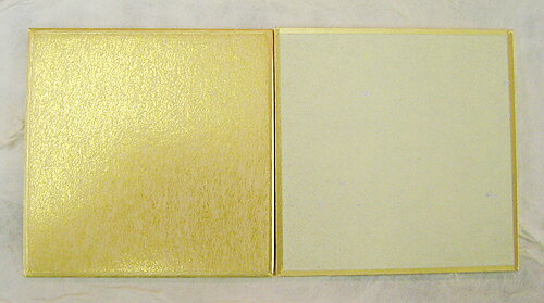 ɱ���桡����