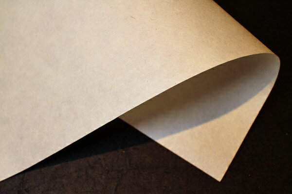 大画仙紙　4m巻　5枚入