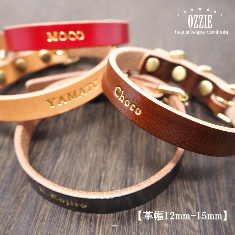   ^ qD  v  I[ [Ch {vnhCh ̎֐XIW[OZZIE  1.2cm-1.5cm ^(̏d7Lȉ)