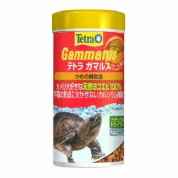 テトラガマルス25g【レターパックプラスOK】　かめえさ