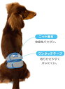 第一衛材男の子用マナーホルダーActiveSS【メール便OK】【レターパックプラスOK】 ペット おしっこ