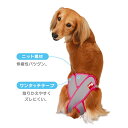 第一衛材女の子用 マナーホルダーActive L【メール便OK】【レターパックプラスOK】ペット おしっこ