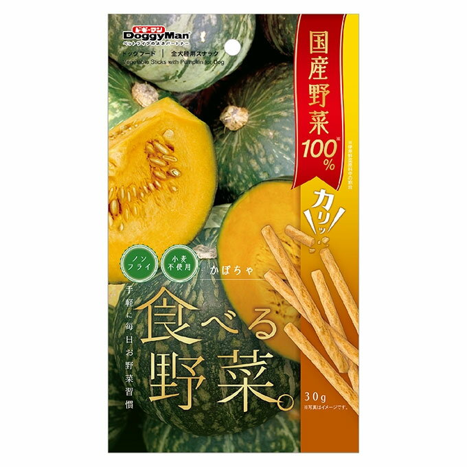 ドギーマンハヤシ野菜かぼちゃ30g【メール便OK】【レターパックプラスOK】