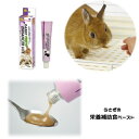 三晃商会 乳酸菌 ラビットエンハンサーバイト|小動物用サプリメント【レターパックプラスOK】(4)