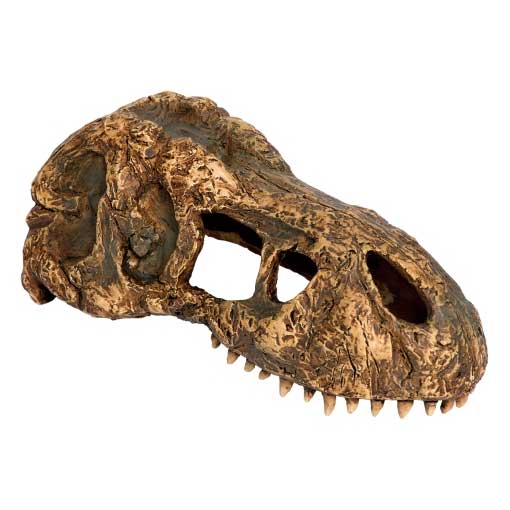 ジェックスT-REXスカルS PT2860 フトアゴ リクガメ 水槽 セット 保温 カメ ライト