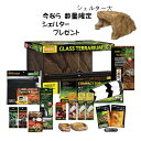 今ならシェルターのおまけ付きジェックスフトアゴヒゲトカゲ&リクガメ飼育セットAセット(シェルター大)