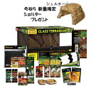 ジェックスフトアゴヒゲトカゲ&リクガメ飼育セットBセット(シェルター小)