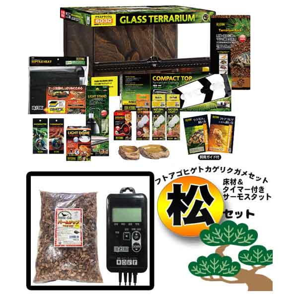 楽天市場】フトアゴ ヒゲ トカゲ 飼育 セットの通販 楽天市場】フトアゴ ヒゲ トカゲ 飼育 セットの通販