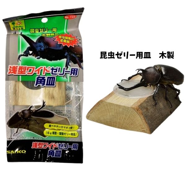 昆虫ゼリー入れ|三晃商会浅型ワイドゼリー用角皿【レターパックプラスOK】