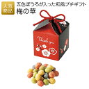 【賞味期限間近 セール商品】プチギフト 退職|梅の華|お礼 ありがとう お配り用 プチギフト お世話になりました お菓子 ギフト 大量 可愛い 産休 挨拶 個包...