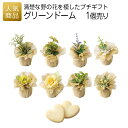結婚式 プチギフト|グリーンドーム| 退職 お礼 お菓子 退職プチギフト 送別プチギフト お菓子プチギフト 個包装 お世話になりました おしゃれ ありがとう 感...