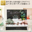 プチギフト ウェルカムギフト |ユーカリガーデン30個セット|結婚式 2次会 徳用 業務用 販促品 記念品 個包装 お配り用 子供会 会社 企業 景品 イベント 退職 引越し お礼 感謝 ギフト クラシカル 大人っぽい 落ち着いた シンプル シンプル 受付装飾