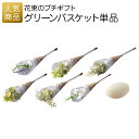 プチギフト 退職|グリーンバスケット単品| お礼 お菓子 退職プチギフト 送別プチギフト お菓子プチギフト 個包装 結婚式 お世話になりました おしゃれ ありがとう 感謝 産休 可愛い 女性 子供 かわいい ばらまき お返し