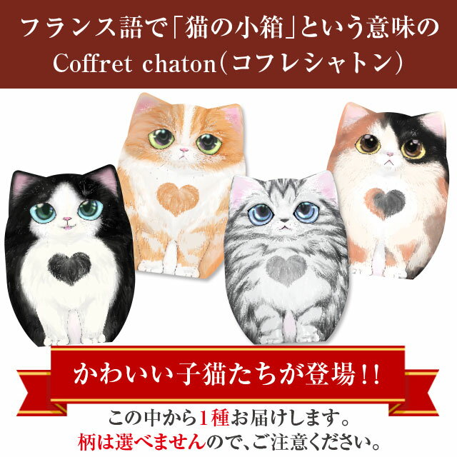 【訳あり】在庫限り お菓子 チョコ |【訳あり...の紹介画像2
