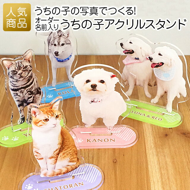 【P最大37倍+最大555円OFFクーポン】ペット 写真 アクリルスタンド｜うちの子 アクリルスタンド｜ペット 犬 猫 ねこ ネコ ダイカット 家族 愛犬 オーダーメイド フォト ハムスター うさぎ 誕生日 記念日 プレゼント 贈り物 ギフト グッズ ネコポス可 [M便 1/10]