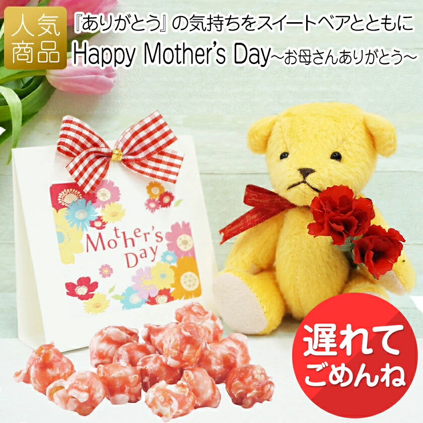 【18日はご愛顧感謝デー】【遅れてごめんね】母の日 プレゼント スイーツ｜Happy Mother's Day～お母さんありがとう～｜数量限定 贈り物 おしゃれ 女性 友達 かわいい くま ぬいぐるみ 祝い 贈り物 ポップコーン 誕生日 記念 ありがとう 500円