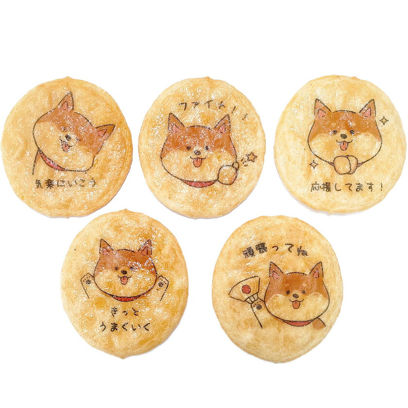 楽天市場】柴犬 和菓子の通販