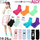 ALGY 靴下 アンクルソックス クルーソックス ショートソックス くるぶし 女の子 キッズ ジュニア シースルー レインボーリブ わんちゃん 英字 ポップカラ...