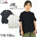 ◇よりどり福袋3点2970円◇ 半袖ワイドTシャツ ドット切替 キッズ ジュニア 女の子 ALPHA LABEL by OFFICIAL TEAM アルファレーベル 【 8521110 】【 110-150cm 】 おしゃれ オフィシャルチーム トップス 子供 子供服 通学 【メール便対象】